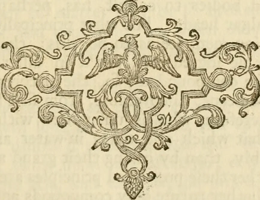 An illustration from The philosophical works of the Honourable Robert Boyle esq.: abridged, methodized, and disposed under the general heads of physics, statics, pneumatics, natural history, chymistry, and medicine, 1725, leaf 386