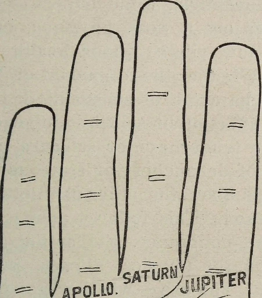 An illustration from Philosophic chiromancy. Mysteries of the hand revealed and explained: the art of determining, from an inspection of the hands, the person's temperature, appetites, passions, impulses, aspirations, mental endowments, character and tendencies, 1879, leaf 104