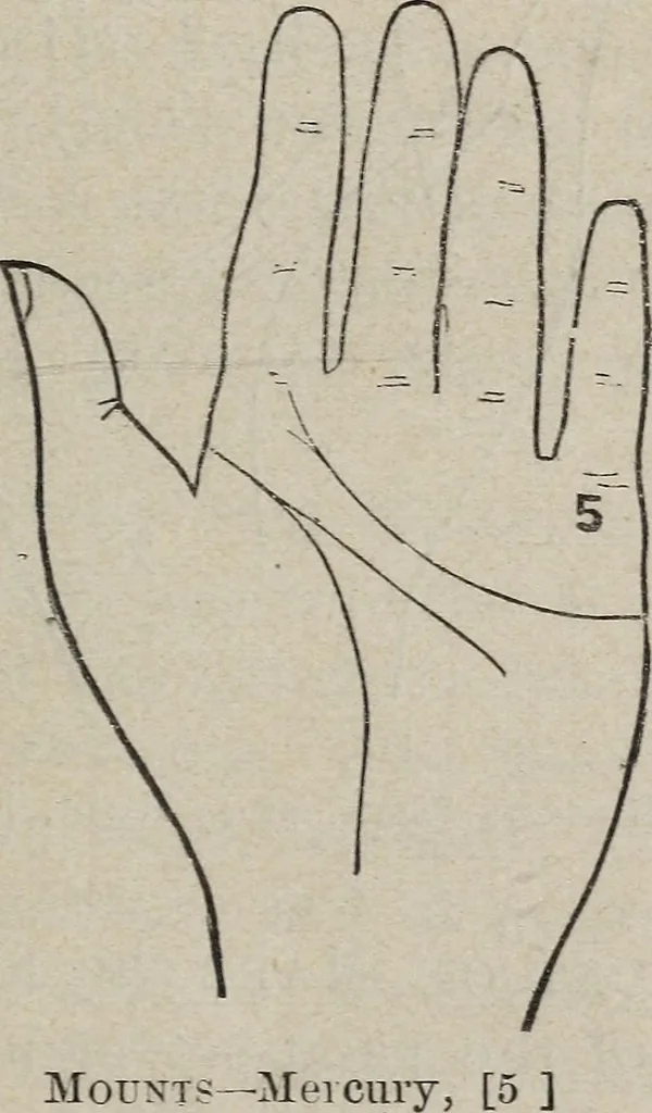 An illustration from Philosophic chiromancy. Mysteries of the hand revealed and explained: the art of determining, from an inspection of the hands, the person's temperature, appetites, passions, impulses, aspirations, mental endowments, character and tendencies, 1879, leaf 112