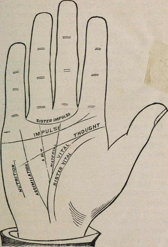 An illustration from Philosophic chiromancy. Mysteries of the hand revealed and explained: the art of determining, from an inspection of the hands, the person's temperature, appetites, passions, impulses, aspirations, mental endowments, character and tendencies, 1879, leaf 120