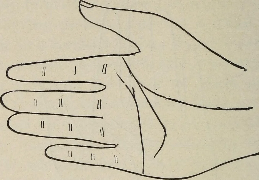 An illustration from Philosophic chiromancy. Mysteries of the hand revealed and explained: the art of determining, from an inspection of the hands, the person's temperature, appetites, passions, impulses, aspirations, mental endowments, character and tendencies, 1879, leaf 141