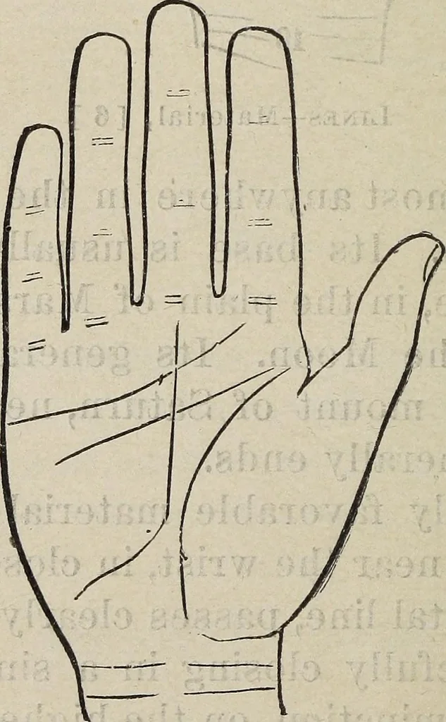 An illustration from Philosophic chiromancy. Mysteries of the hand revealed and explained: the art of determining, from an inspection of the hands, the person's temperature, appetites, passions, impulses, aspirations, mental endowments, character and tendencies, 1879, leaf 153