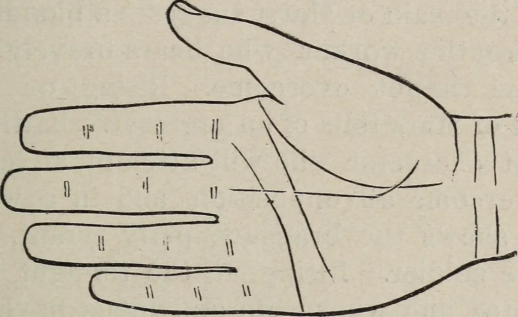 An illustration from Philosophic chiromancy. Mysteries of the hand revealed and explained: the art of determining, from an inspection of the hands, the person's temperature, appetites, passions, impulses, aspirations, mental endowments, character and tendencies, 1879, leaf 154