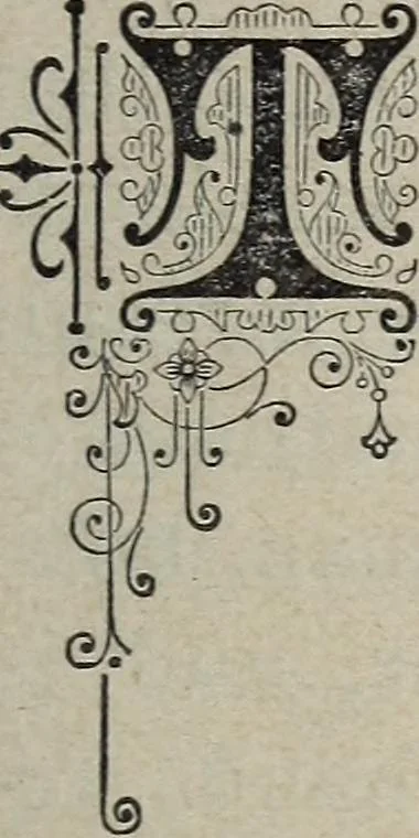 An illustration from Philosophic chiromancy. Mysteries of the hand revealed and explained: the art of determining, from an inspection of the hands, the person's temperature, appetites, passions, impulses, aspirations, mental endowments, character and tendencies, 1879, leaf 24
