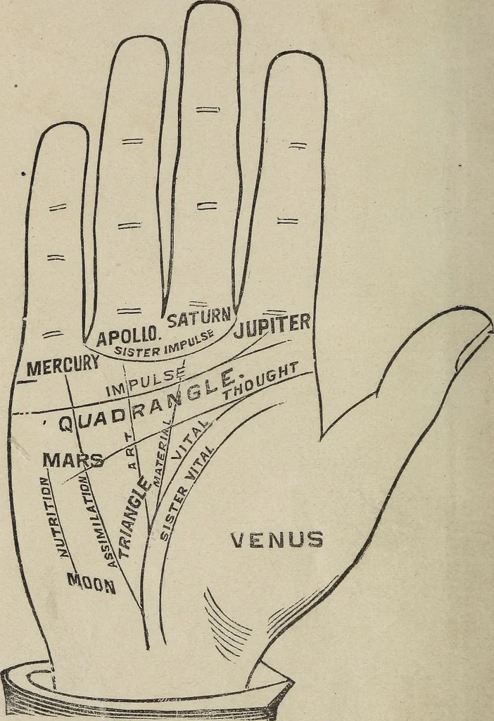 An illustration from Philosophic chiromancy. Mysteries of the hand revealed and explained: the art of determining, from an inspection of the hands, the person's temperature, appetites, passions, impulses, aspirations, mental endowments, character and tendencies, 1879, leaf 5