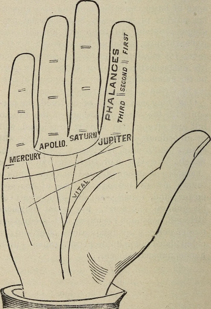 An illustration from Philosophic chiromancy. Mysteries of the hand revealed and explained: the art of determining, from an inspection of the hands, the person's temperature, appetites, passions, impulses, aspirations, mental endowments, character and tendencies, 1879, leaf 71