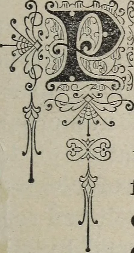 An illustration from Philosophic chiromancy. Mysteries of the hand revealed and explained: the art of determining, from an inspection of the hands, the person's temperature, appetites, passions, impulses, aspirations, mental endowments, character and tendencies, 1879, leaf 8