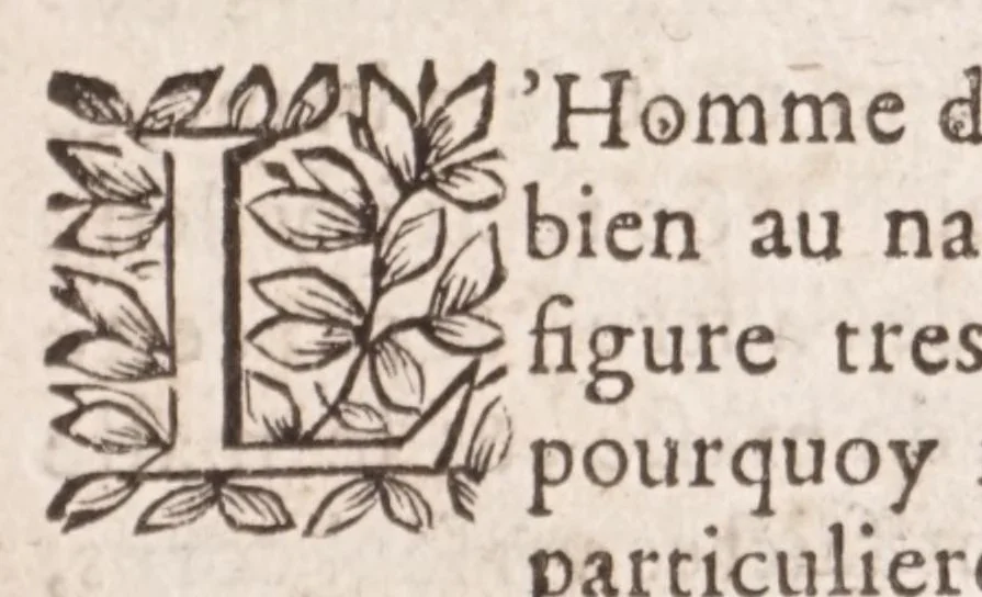 An illustration from Philosophie naturelle de trois anciens philosophes renommez : Artephius, Flamel, & Synesius, traitant de l'art occulte, & de la transmutation metallique, 1682, leaf 73