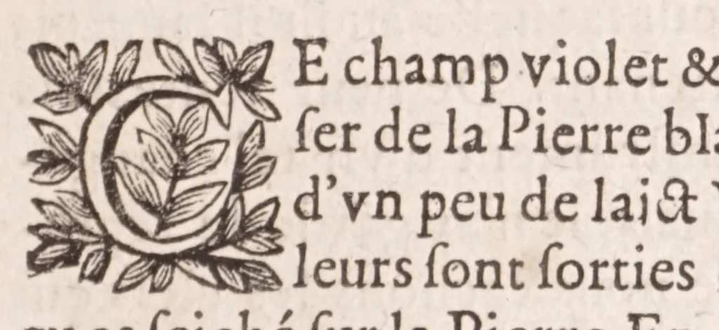An illustration from Philosophie naturelle de trois anciens philosophes renommez : Artephius, Flamel, & Synesius, traitant de l'art occulte, & de la transmutation metallique, 1682, leaf 85