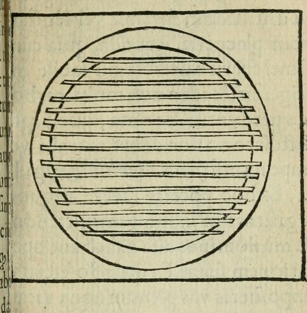 An illustration from Coelvm philosophorvm, sev, Liber de secretis naturae, 1553, leaf 106