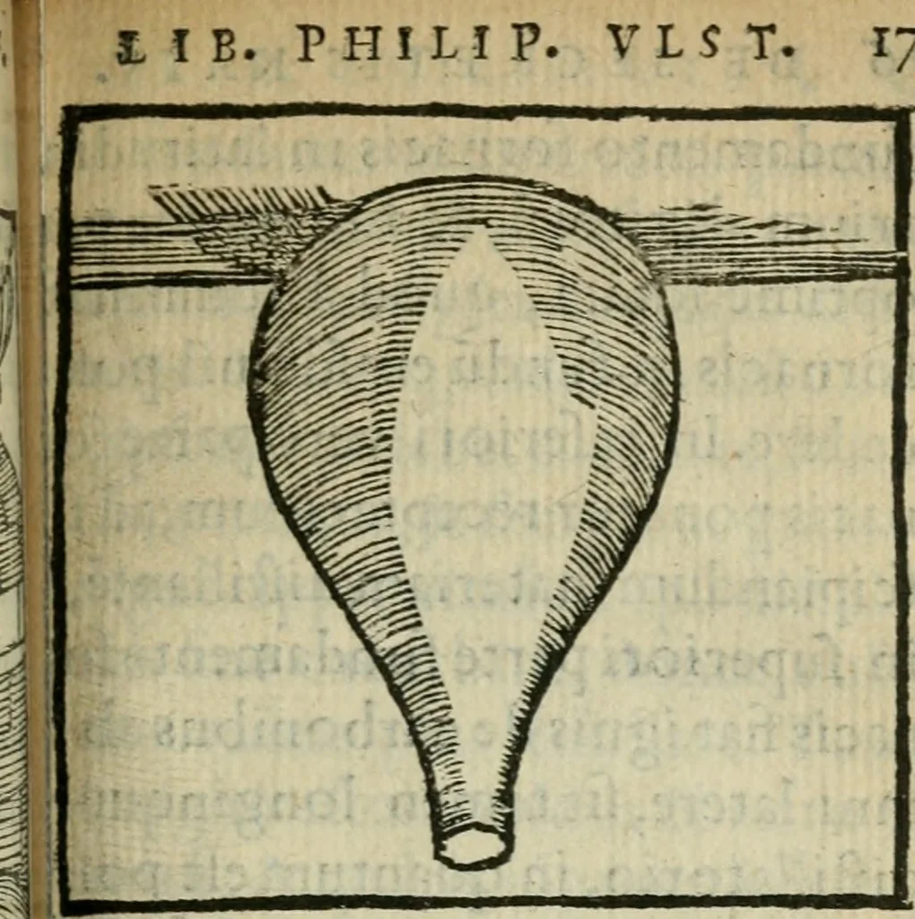 An illustration from Coelvm philosophorvm, sev, Liber de secretis naturae, 1553, leaf 178