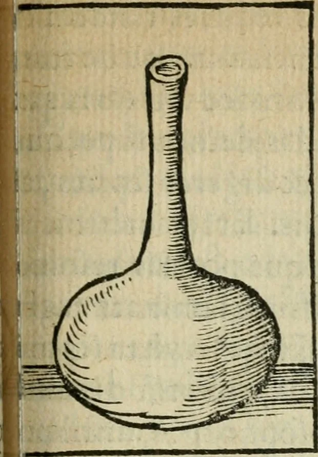 An illustration from Coelvm philosophorvm, sev, Liber de secretis naturae, 1553, leaf 216