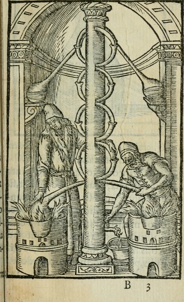 An illustration from Coelvm philosophorvm, sev, Liber de secretis naturae, 1553, leaf 24