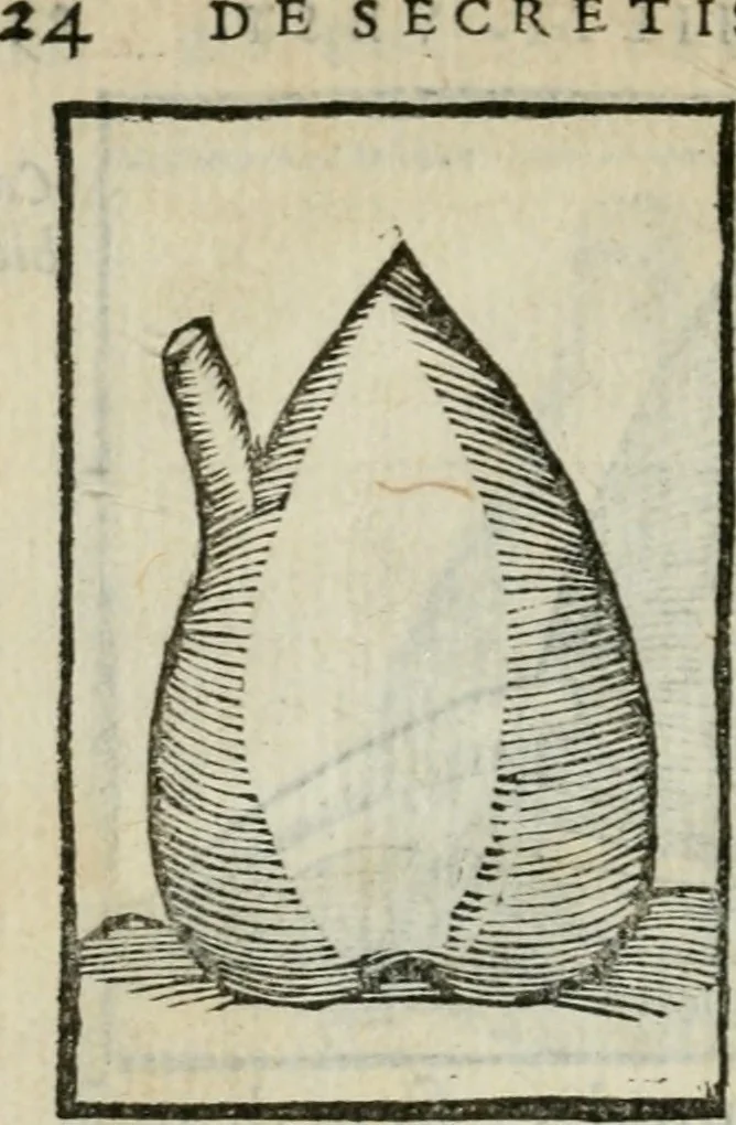 An illustration from Coelvm philosophorvm, sev, Liber de secretis naturae, 1553, leaf 27