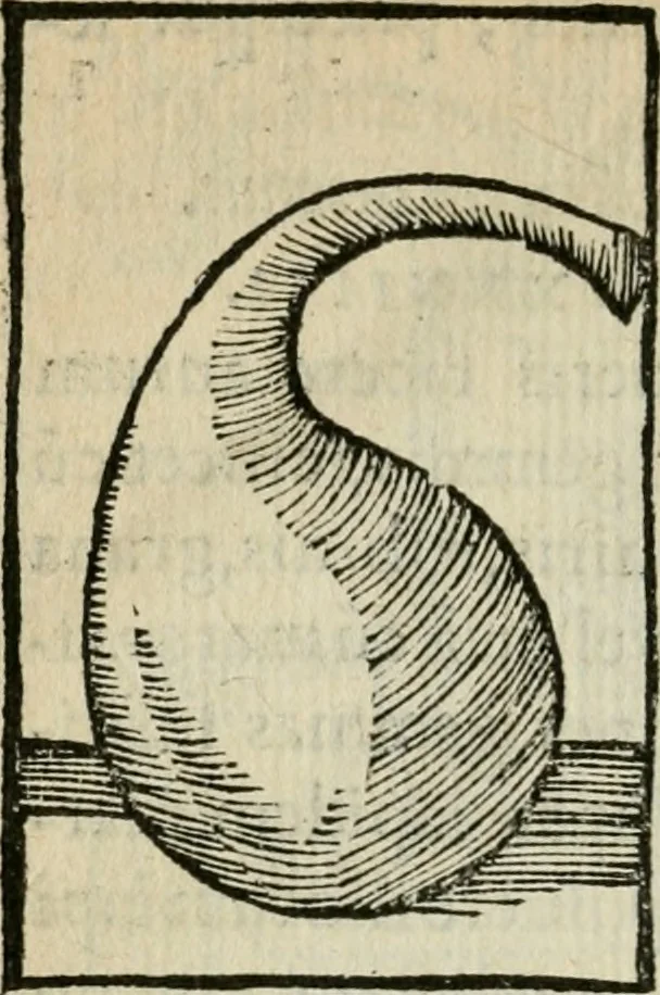An illustration from Coelvm philosophorvm, sev, Liber de secretis naturae, 1553, leaf 285