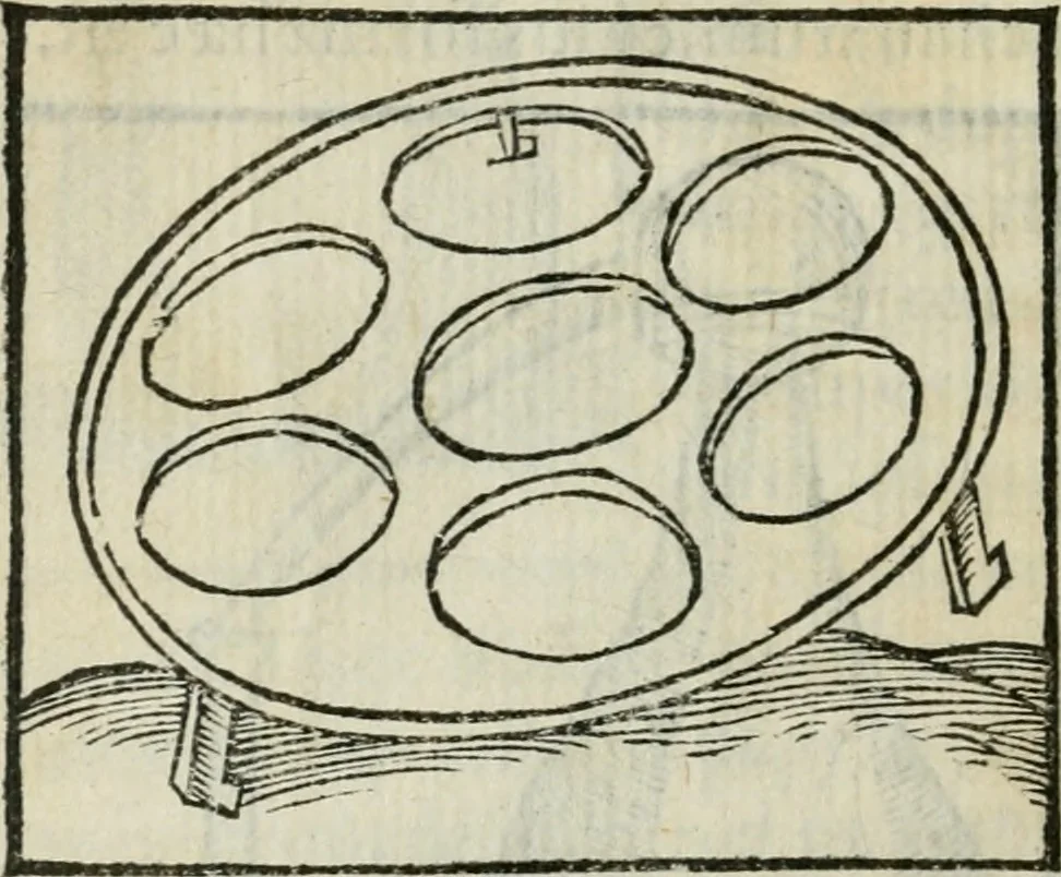 An illustration from Coelvm philosophorvm, sev, Liber de secretis naturae, 1553, leaf 29