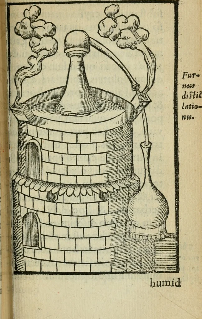 An illustration from Coelvm philosophorvm, sev, Liber de secretis naturae, 1553, leaf 290