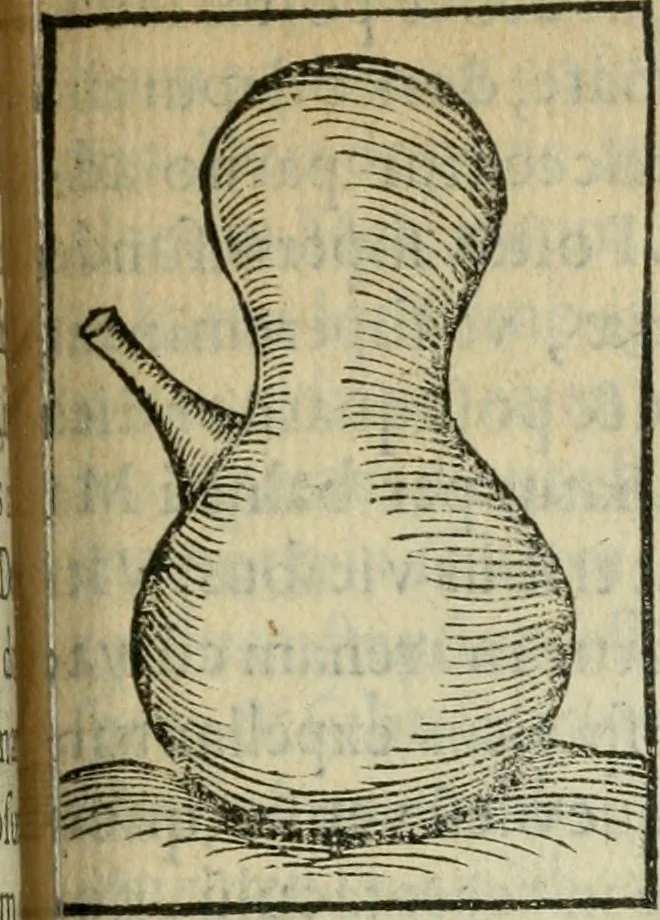 An illustration from Coelvm philosophorvm, sev, Liber de secretis naturae, 1553, leaf 298
