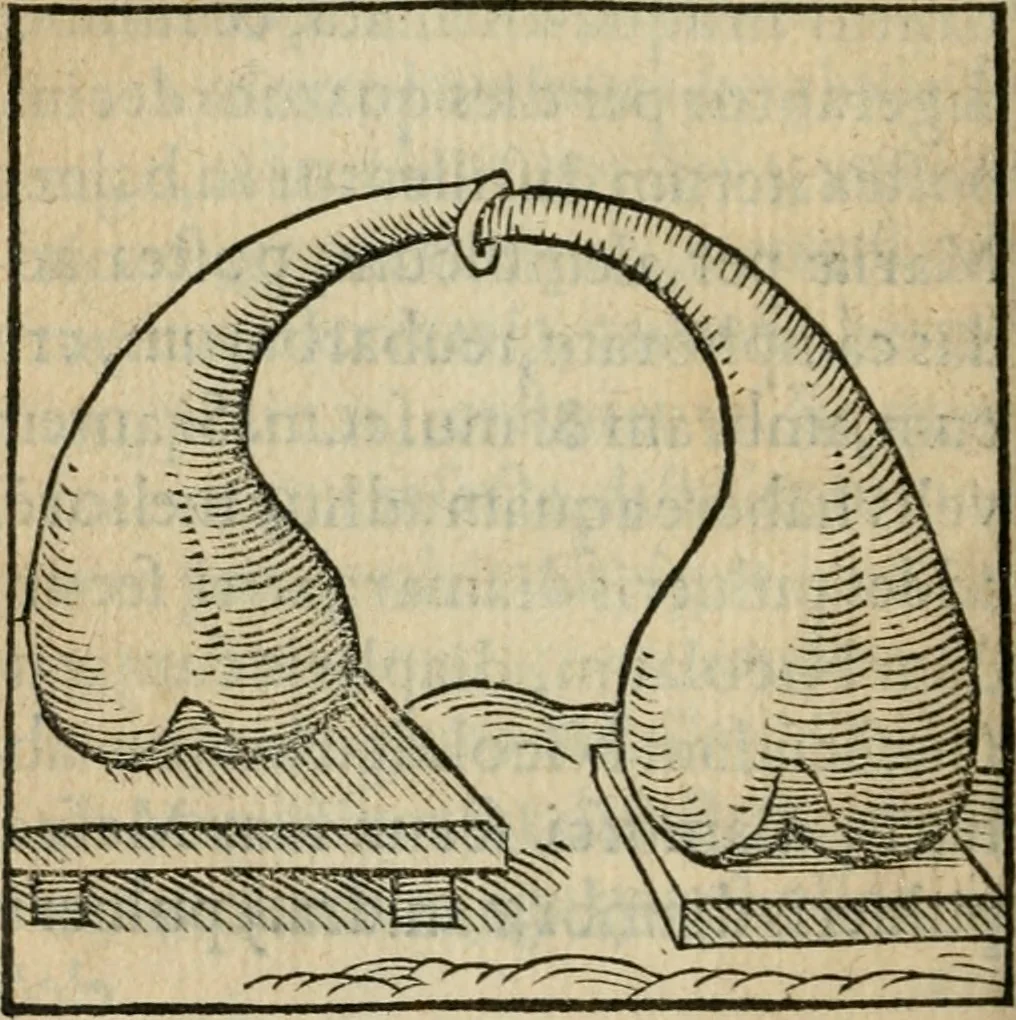 An illustration from Coelvm philosophorvm, sev, Liber de secretis naturae, 1553, leaf 367