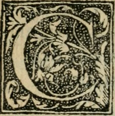 An illustration from Coelvm philosophorvm, sev, Liber de secretis naturae, 1553, leaf 377