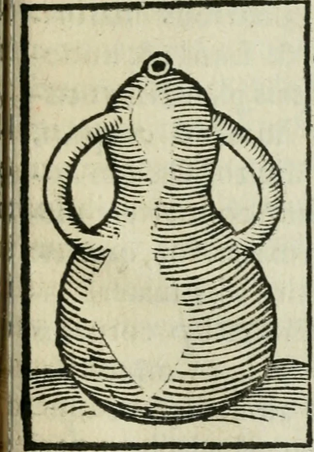 An illustration from Coelvm philosophorvm, sev, Liber de secretis naturae, 1553, leaf 408