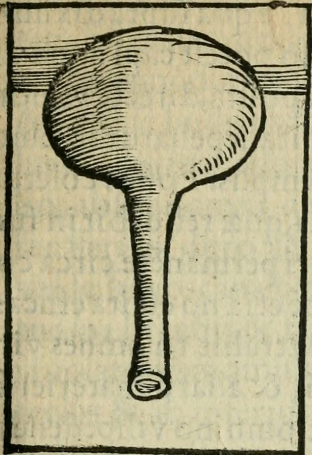 An illustration from Coelvm philosophorvm, sev, Liber de secretis naturae, 1553, leaf 72