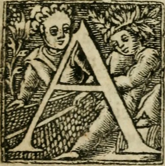 An illustration from Philosophy reformed & improved in four profound tractates : the I. discovering the great and deep mysteries of nature, 1657, leaf 248