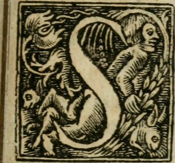 An illustration from Philosophy reformed & improved in four profound tractates : the I. discovering the great and deep mysteries of nature, 1657, leaf 274