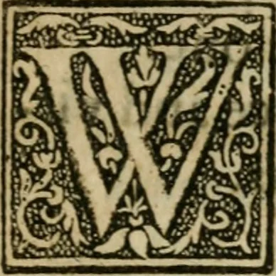 An illustration from Philosophy reformed & improved in four profound tractates : the I. discovering the great and deep mysteries of nature, 1657, leaf 310
