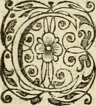 An illustration from Meteorologia philosophico-politica : in duodecim dissertationes per quaestiones meteorologicas & conclusiones politicas divisa, appositisque symbolis illustrata ..., 1698, leaf 12