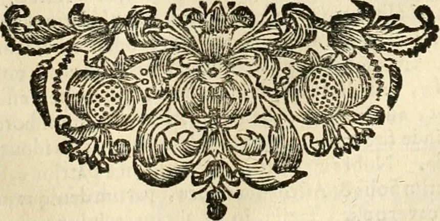 An illustration from Meteorologia philosophico-politica : in duodecim dissertationes per quaestiones meteorologicas & conclusiones politicas divisa, appositisque symbolis illustrata ..., 1698, leaf 136