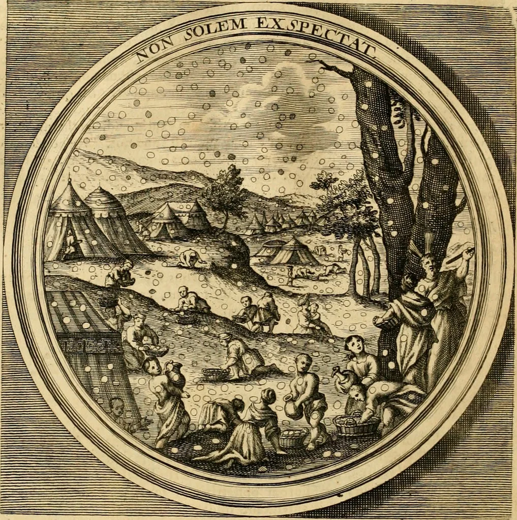 An illustration from Meteorologia philosophico-politica : in duodecim dissertationes per quaestiones meteorologicas & conclusiones politicas divisa, appositisque symbolis illustrata ..., 1698, leaf 171