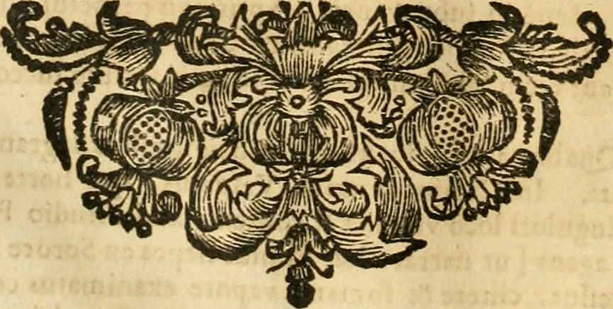 An illustration from Meteorologia philosophico-politica : in duodecim dissertationes per quaestiones meteorologicas & conclusiones politicas divisa, appositisque symbolis illustrata ..., 1698, leaf 253