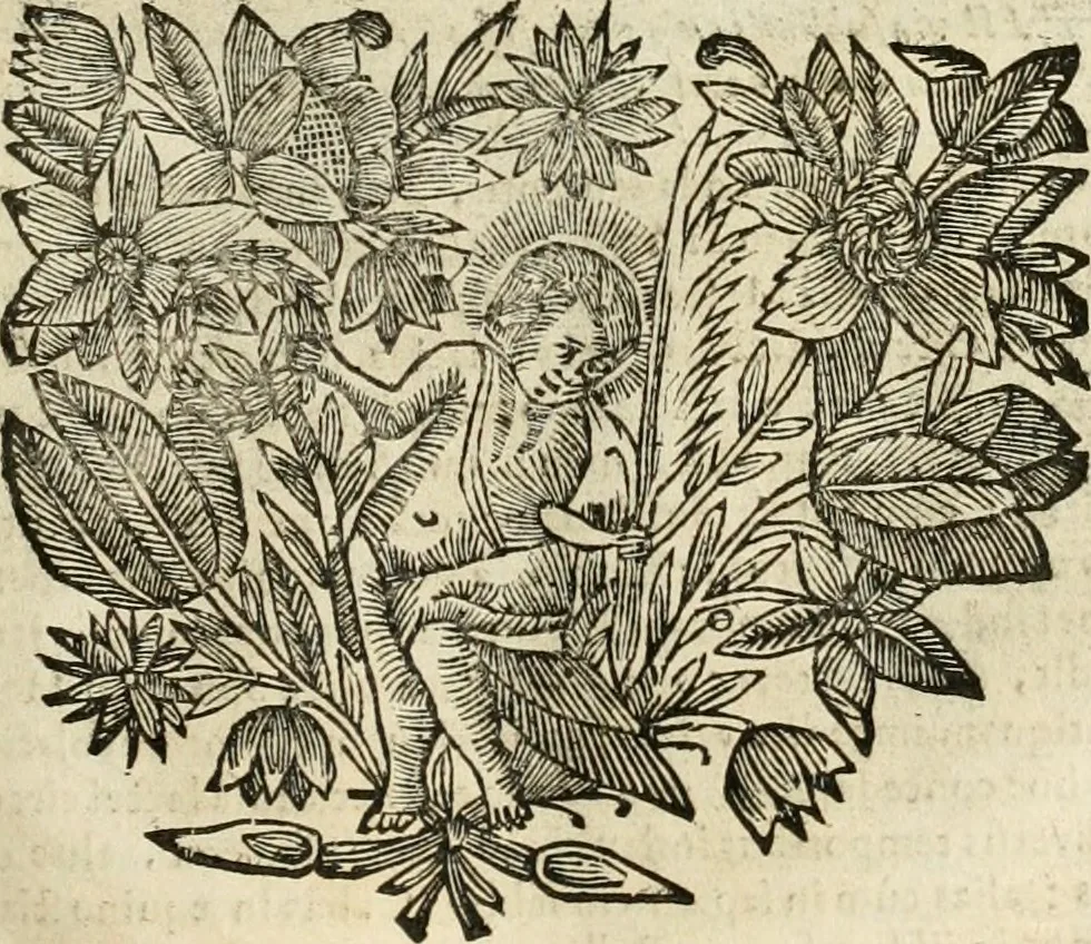 An illustration from Meteorologia philosophico-politica : in duodecim dissertationes per quaestiones meteorologicas & conclusiones politicas divisa, appositisque symbolis illustrata ..., 1698, leaf 86