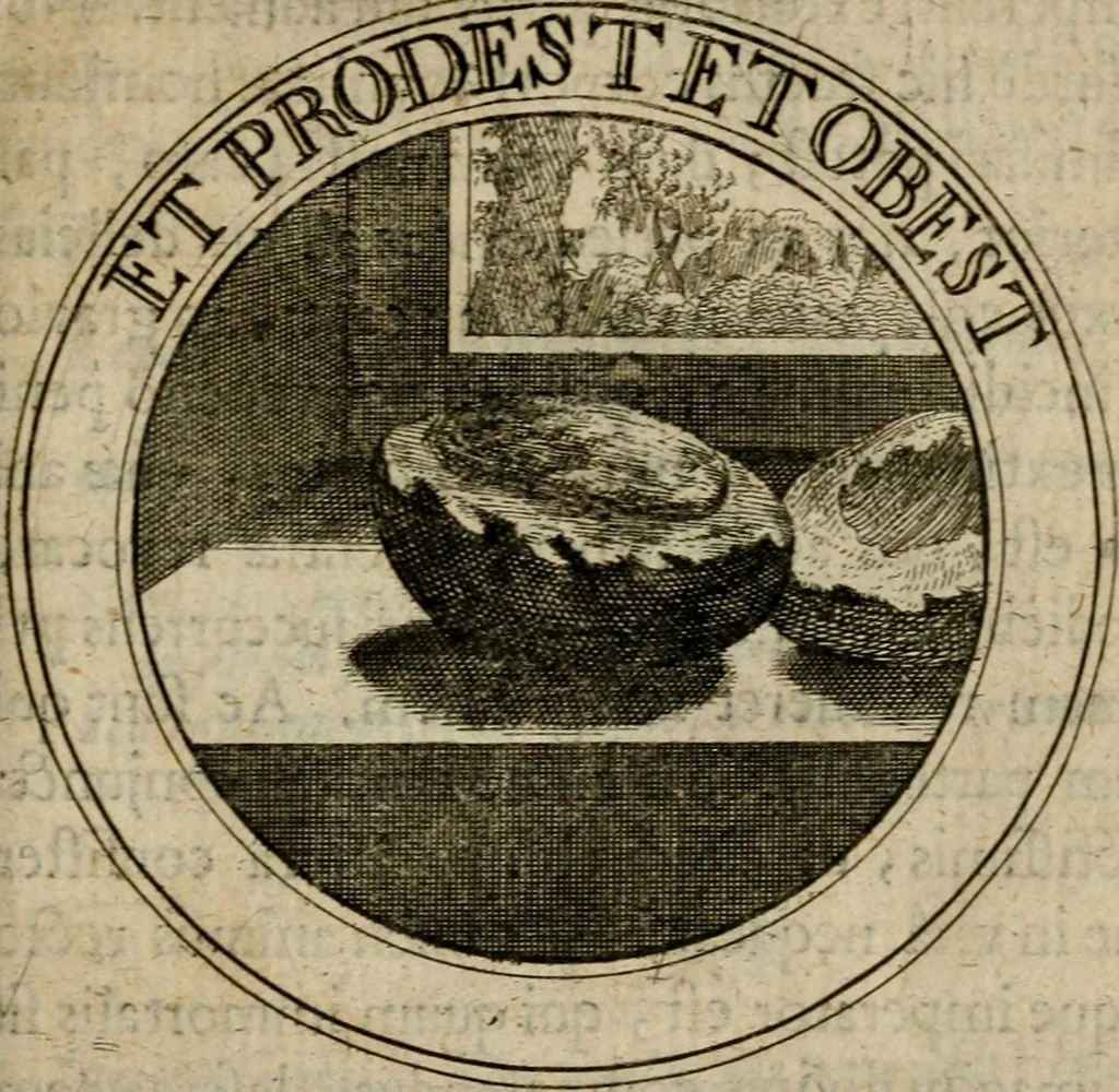 An illustration from Philothei Symbola christiana : quibus idea hominis christiani exprimitur, 1682, leaf 260