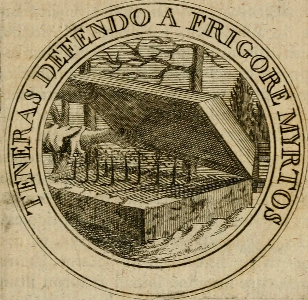 An illustration from Philothei Symbola christiana : quibus idea hominis christiani exprimitur, 1682, leaf 276
