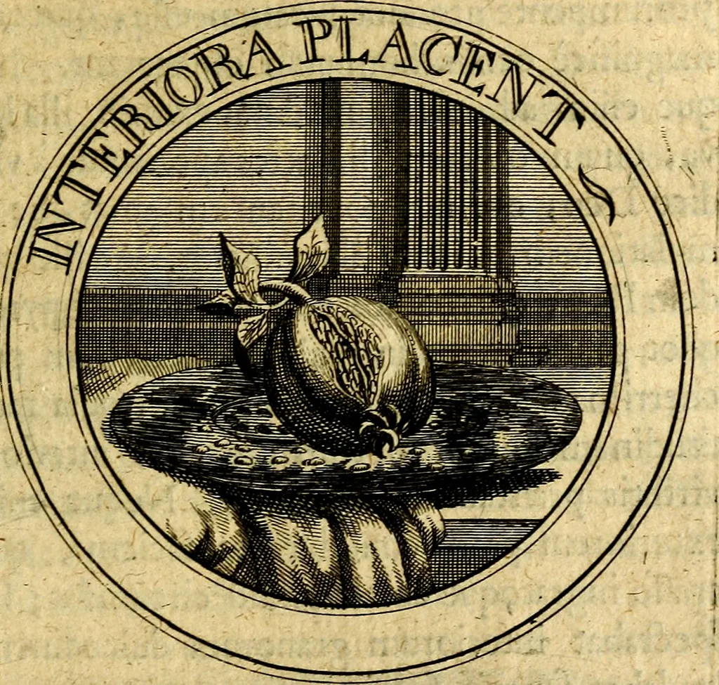 An illustration from Philothei Symbola christiana : quibus idea hominis christiani exprimitur, 1682, leaf 250