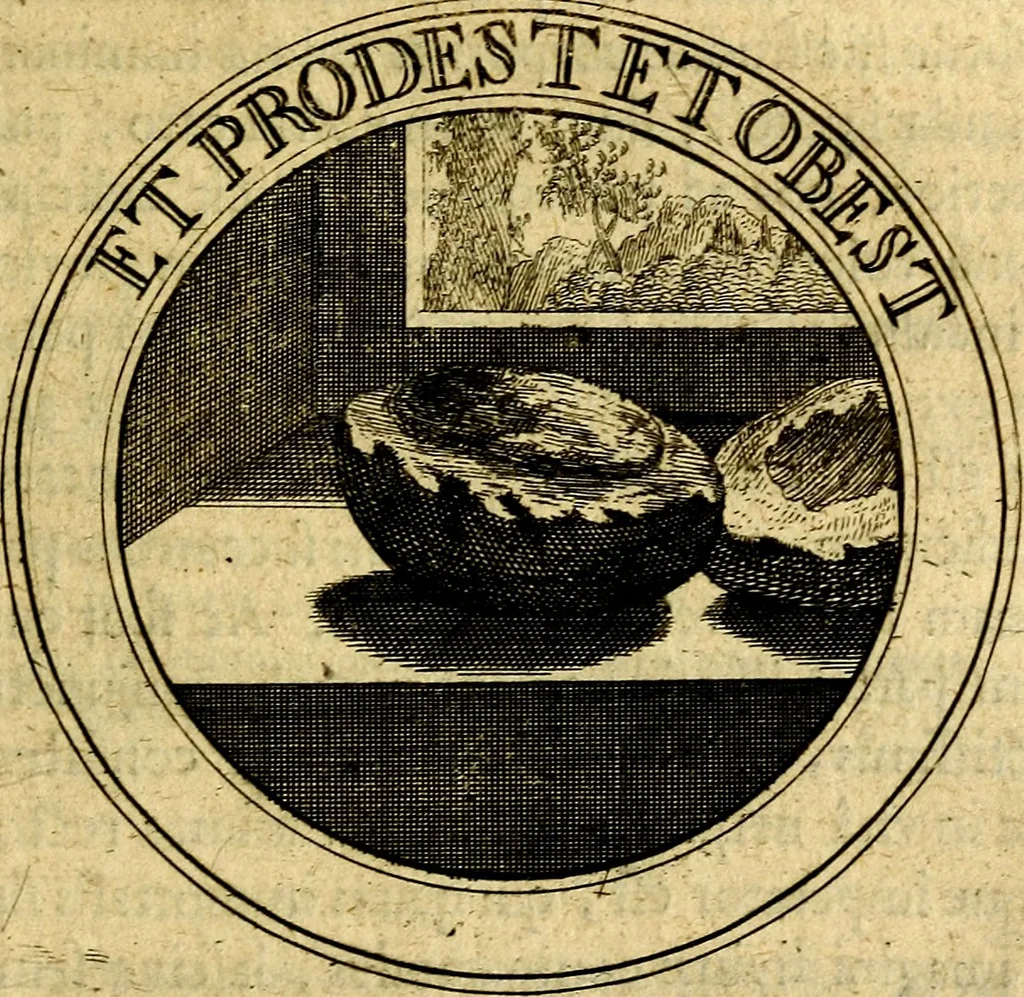 An illustration from Philothei Symbola christiana : quibus idea hominis christiani exprimitur, 1682, leaf 256
