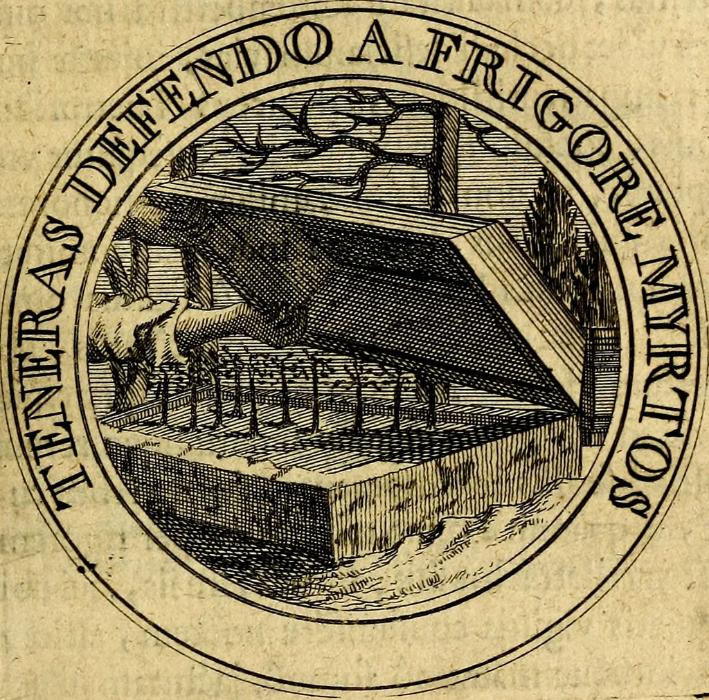 An illustration from Philothei Symbola christiana : quibus idea hominis christiani exprimitur, 1682, leaf 272