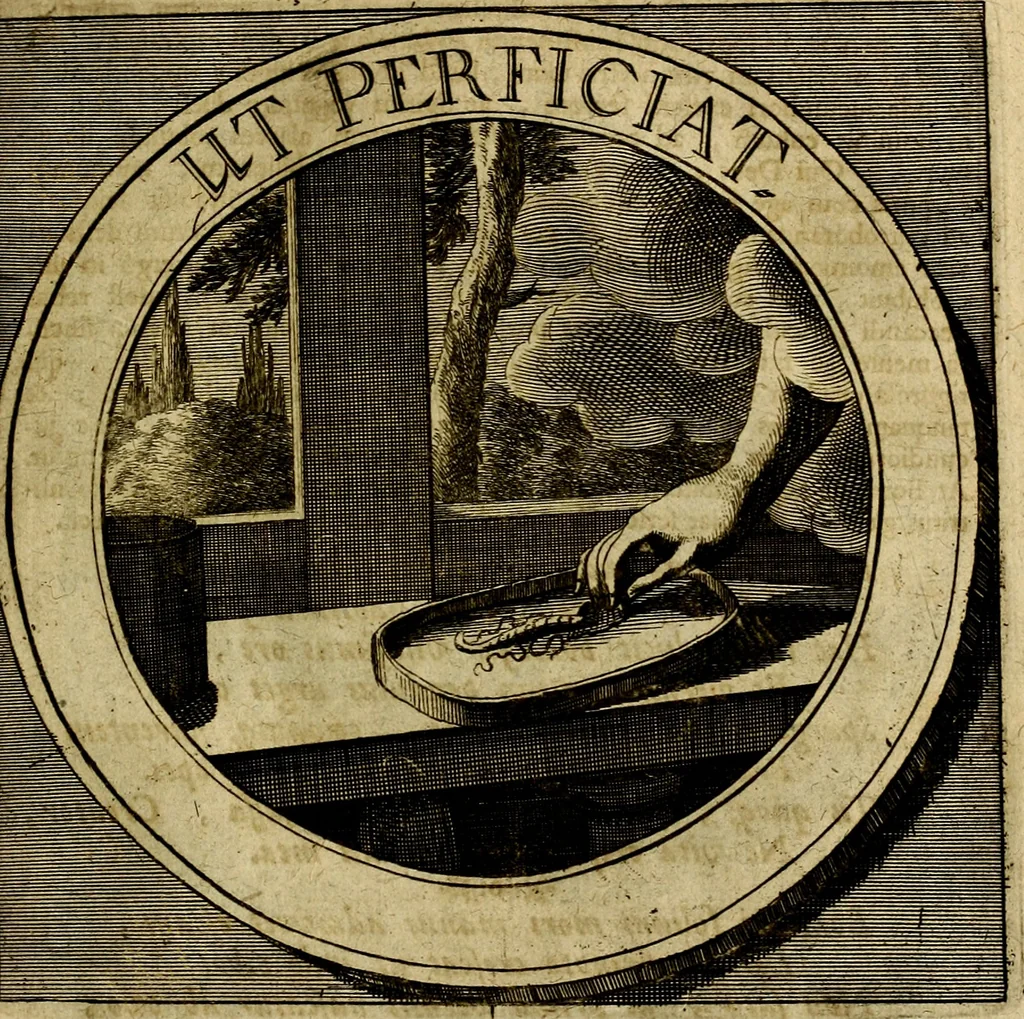 An illustration from Philothei symbola christiana : quibus idea hominis christiani exprimitur, 1677, leaf 110