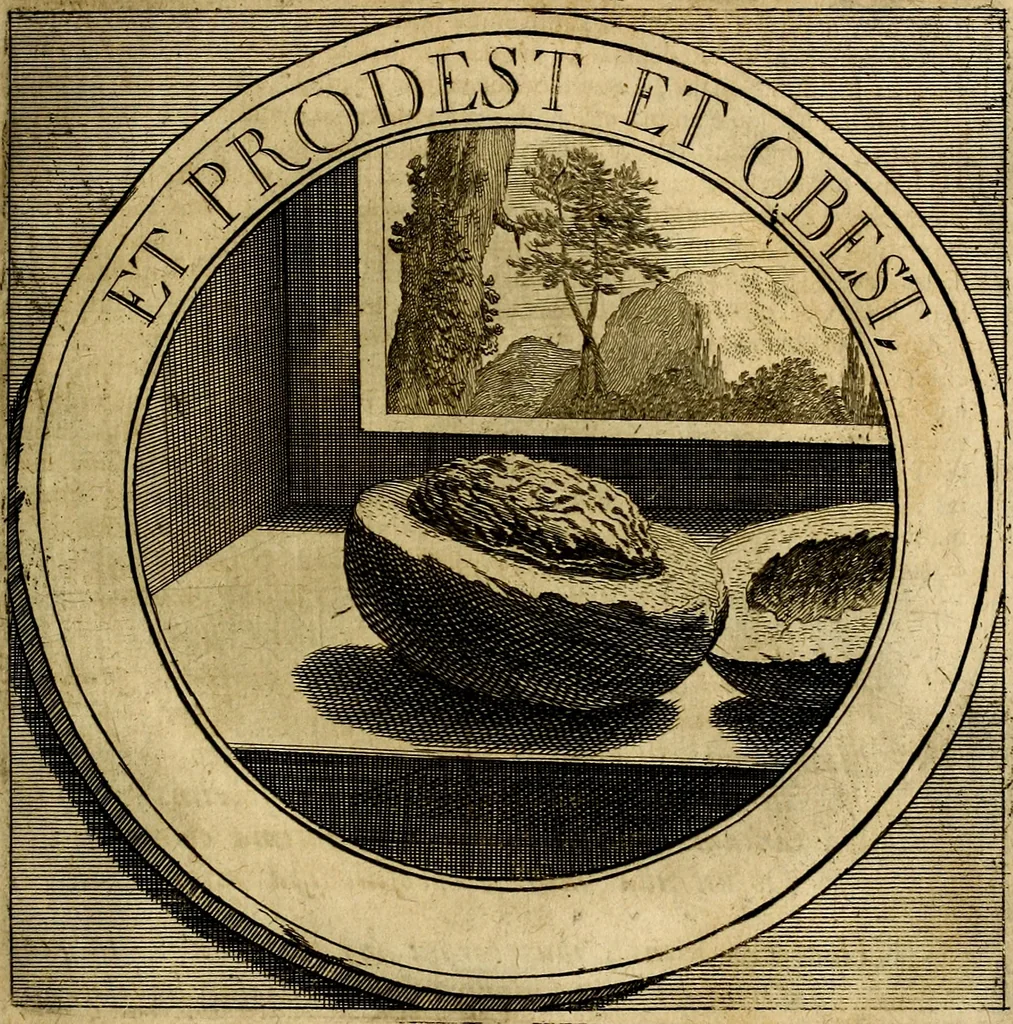 An illustration from Philothei symbola christiana : quibus idea hominis christiani exprimitur, 1677, leaf 164