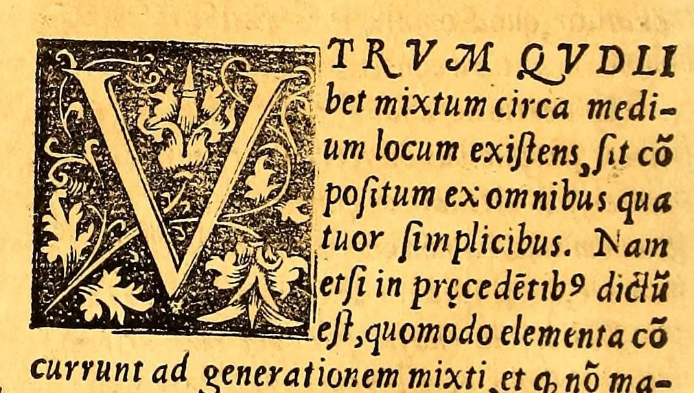 An illustration from Phisica, speculatio,, 1557, leaf 222