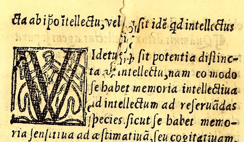 An illustration from Phisica, speculatio,, 1557, leaf 348