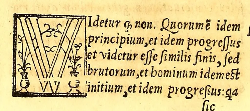 An illustration from Phisica, speculatio,, 1557, leaf 358