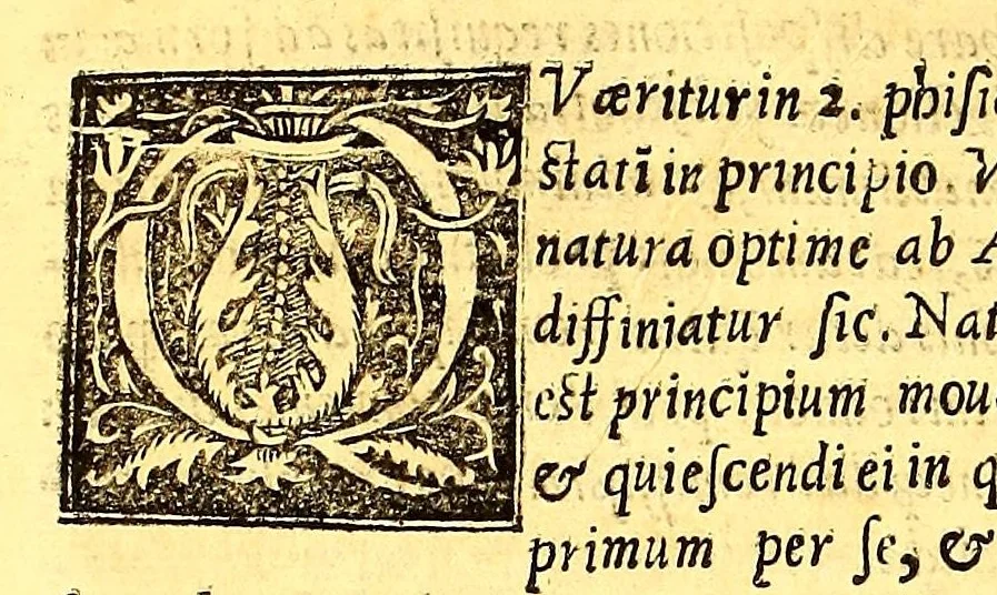 An illustration from Phisica, speculatio,, 1557, leaf 68