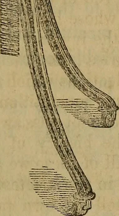 An illustration from The Photographic art-journal, 1851, leaf 272