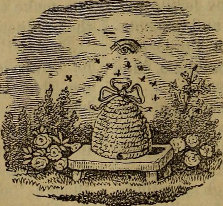 An illustration from The Photographic art-journal, 1851, leaf 317