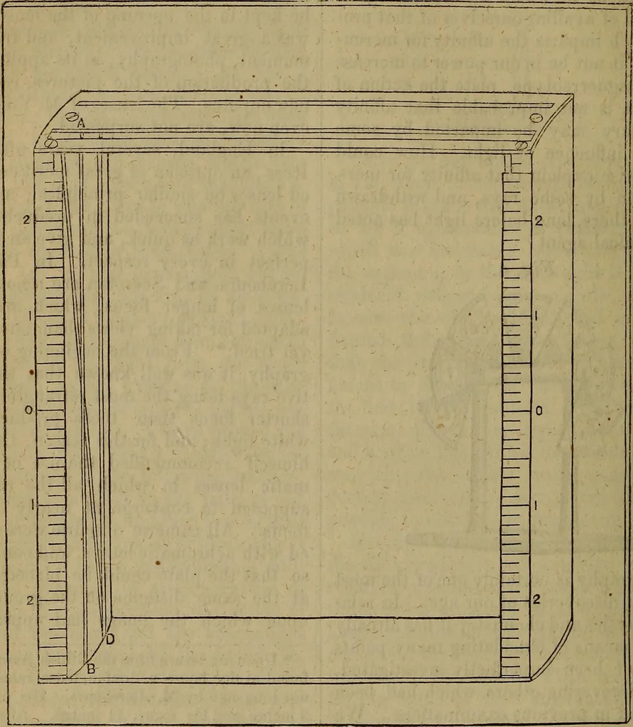 An illustration from The Photographic art-journal, 1851, leaf 57