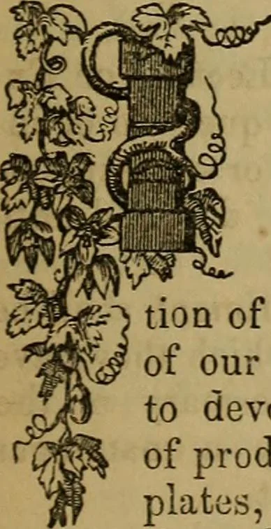 An illustration from The Photographic art-journal, 1851, leaf 122