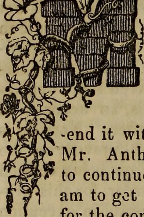 An illustration from The Photographic art-journal, 1851, leaf 161